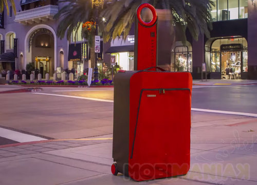 Barracuda Collapsible Luggage