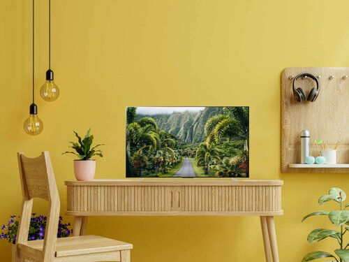 OLED