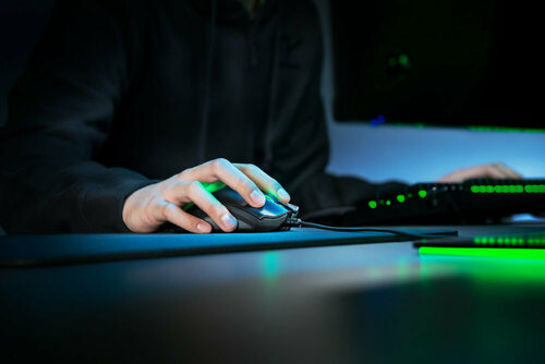 Razer DeathAdder V2