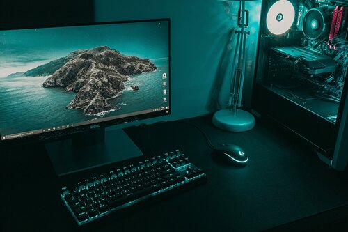 OLED 480 Hz w 2024