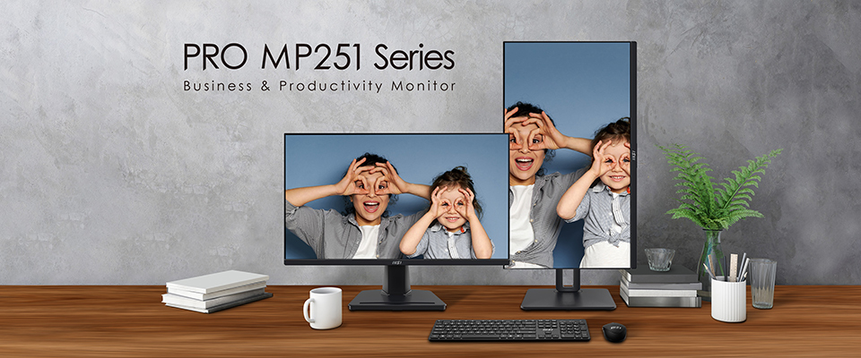 MSI PRO MP251 Series
