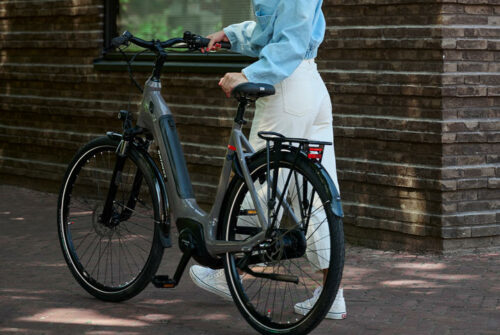Batavus