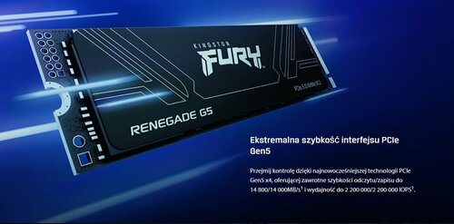 Kingston Fury Renegade G5
