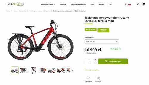 elektryczny rower