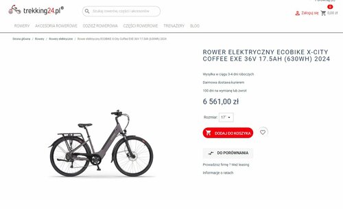Elektryczny rower miejski z Polski