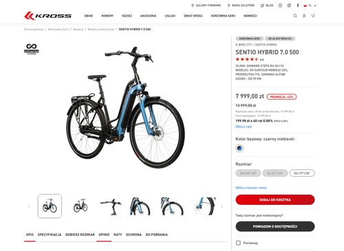 Elektryczny rower z Polski taniej