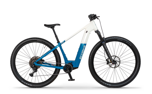 Ecobike BIG.FOOT