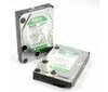 WD Caviar GP 500 GB