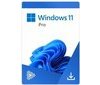 Microsoft Windows 11