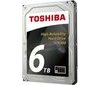 Toshiba N300 6 TB