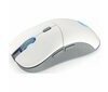 Endorfy GEM Plus Wireless